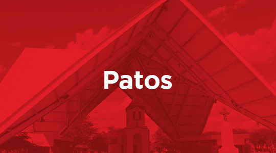 Patos