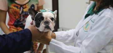 Curso oferece atendimento veterinário no UNIESP