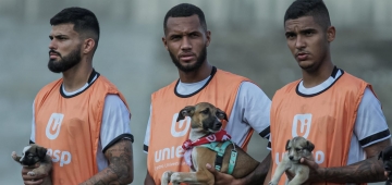 Em ação com o UNIESP, Botafogo-PB entra em campo com filhotes de cachorro