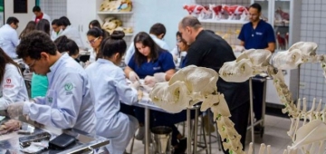 Medicina Veterinária do UNIESP cria cadastro de doadores de sangue e estimula os tutores a doarem também